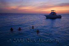 photography of Curacao scuba divers