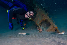 Underwater photography of North Carolina scuba diver and lionfish